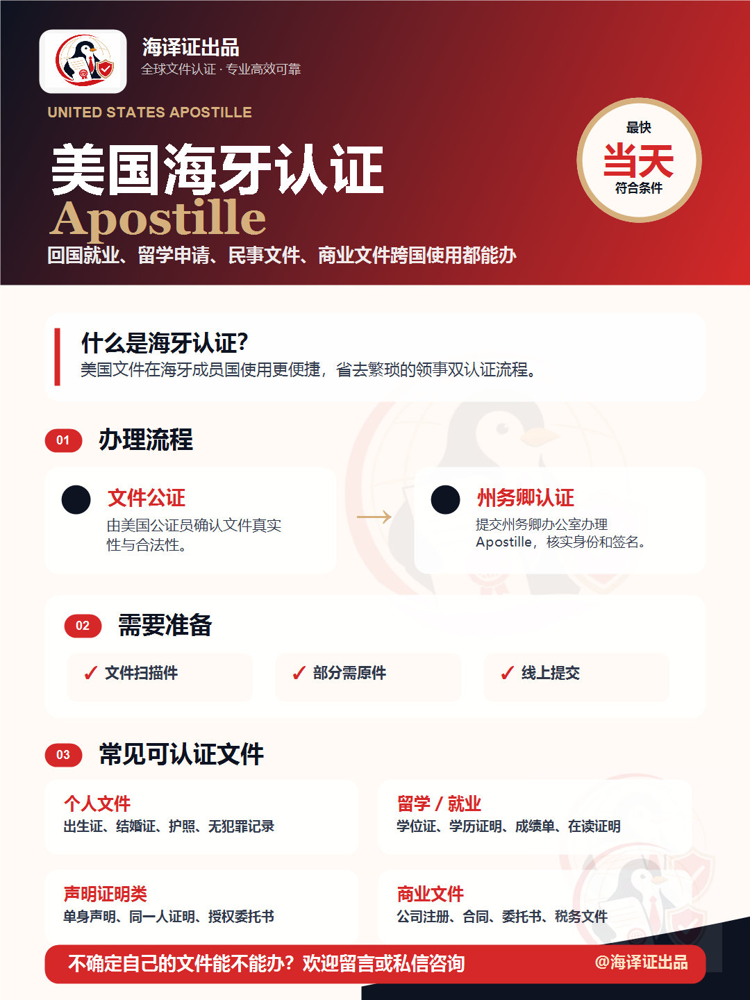 美国海牙-公司文件案例预览